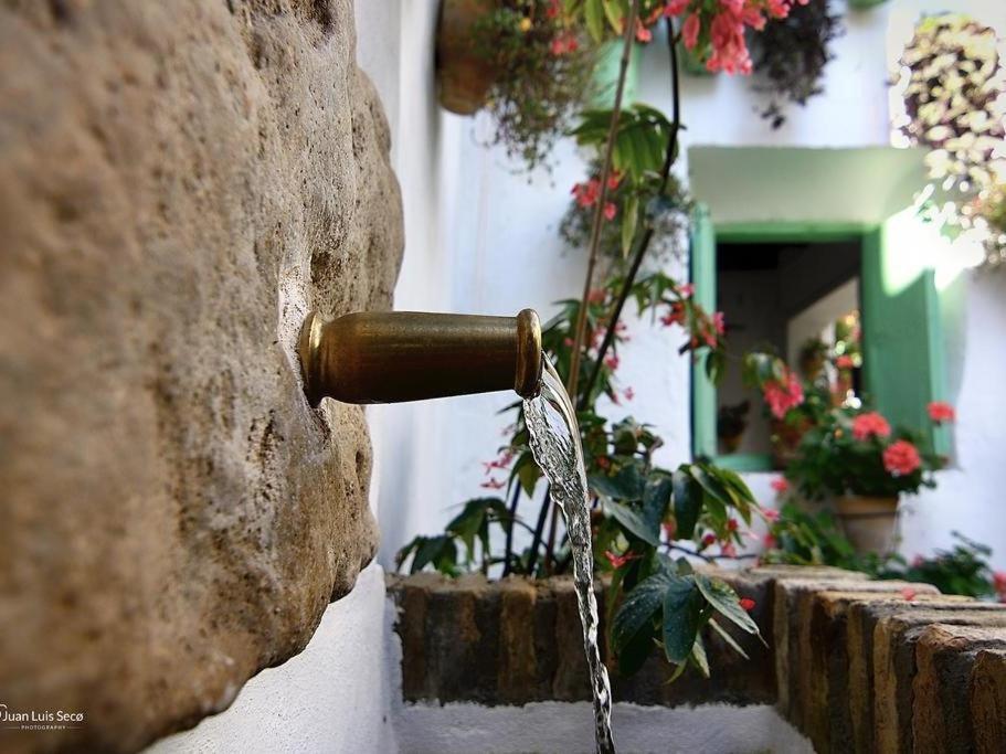 La Casa De La Costurera Apartment Cordoba Luaran gambar