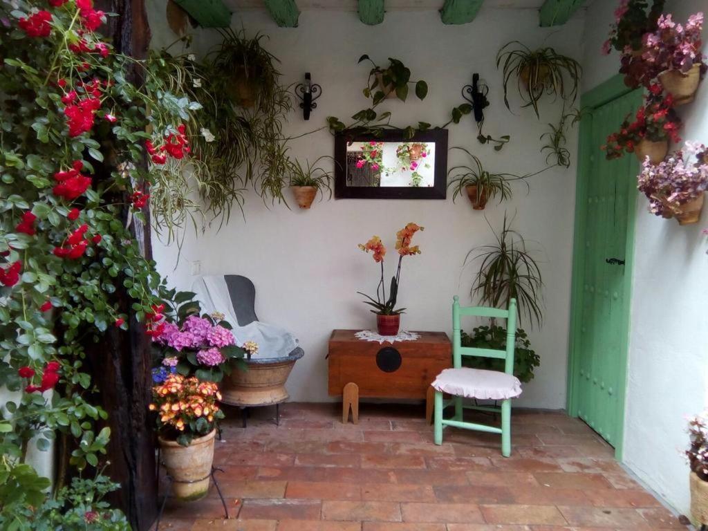 La Casa De La Costurera Apartment Cordoba Luaran gambar